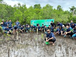 Peringati Hari Lingkungan Hidup Sedunia, PLN Tanam 3.000 Mangrove di Pesisir Sulawesi Utara
