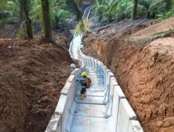 Dukung Pembangunan IKN Menuju Forest City, PLN Rampungkan Tiga Infrastruktur Kelistrikan Tegangan Tinggi