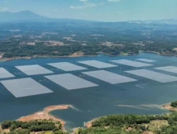 PLN Gandeng Masdar Bentuk Kajian Ekspansi PLTS Terapung Cirata Hingga 500 MWac