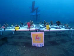PLN Suluttenggo Ucapkan Selamat Kepada Pengurus Baru Boboca Diving Club