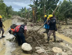 Cuaca Ekstrem, Petugas PLN Bahu Membahu Percepat Pemulihan Jaringan Listrik di Sulawesi Tengah