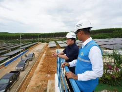 Menteri BUMN Pastikan Peringatan HUT RI di IKN Gunakan Listrik Hijau