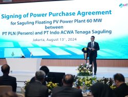 Gandeng ACWA Power, PLN Siap Lebarkan Pemanfaatan Energi Bersih di Indonesia