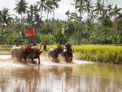 Lewat Relawan Bakti BUMN, PLN Beri Pelatihan UMKM dan Giatkan Budaya Khas Jembrana, Bali