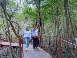 Ekowisata Hutan Mangrove Purba Jerowaru Kerek Ekonomi Masyarakat
