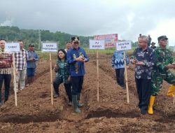 Pemkab Minahasa Canangkan Gerakan Tanam Pangan dan Hortikultura 2025