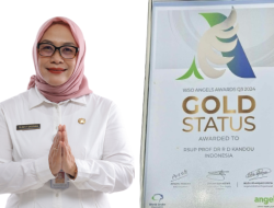 Pengakuan Internasional: RSUP Kandou Diganjar WSO Angels Award 2024