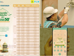 Lebih dari 600 Pelanggan Manfaatkan Promo Tambah Daya PLN Suluttenggo, Masih Berlangsung Hingga 1 Maret 2025!