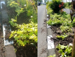 Jelang Munas APKASI di Minut, Ratusan Meter Kabel Lampu Jalan Soekarno Hilang Dicuri
