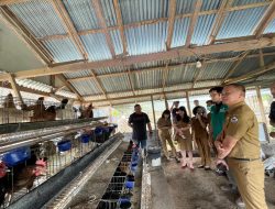 PLN UP3 Manado Dukung Ketahanan Pangan Melalui Pelatihan Budidaya Ayam dan Pengolahan Limbah Ayam Buras