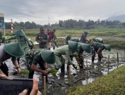 TNI dan Petani Bersinergi, Danrem 131/Santiago Tanam Padi Perdana di Bitung