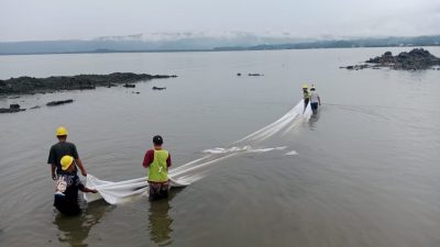 Proyek Pengamanan Pantai Amurang di Awasi Pemerintah dan Masyarakat Sekitar