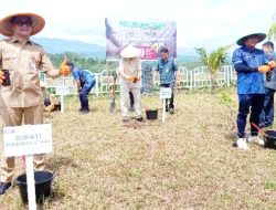Harlah Kejaksaan ke- 80, Bupati Joune Ganda Dukung Penanaman Pohon Kejari Minut di Kuwil