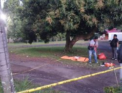Ditusuk Berkali-Kali, Pria 54 Tahun Tewas di Halaman Rumah