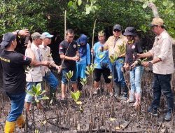 Peduli Ekosistem Pesisir, PROSULUT 08 Garuda Tanam Ribuan Mangrove di Minahasa Utara