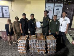 Satwa Liar Tanpa Dokumen Terungkap di Pelabuhan Bakauheni, Ratusan Burung Diamankan