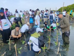Bersama Warga, PLN Rehabilitasi Mangrove Lindungi Pesisir Utara Jateng dari Banjir Rob