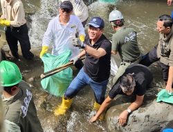 PLN dan KLH Gelar Aksi Bersih DAS Ciliwung, Angkut 176 Kg Sampah dan Tanam 2.500 Pohon