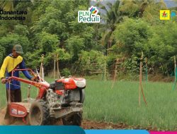 Program TJSL PLN Berikan Dampak Nyata Bagi Kesejahteraan Petani Desa Lampoko