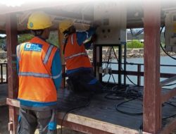 PLN Sukses Dukung Keandalan Listrik Festival Hiu Paus 2025