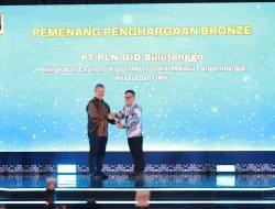 PLN UID Suluttenggo Raih Penghargaan dalam Pengembangan Desa Berkelanjutan Awards 2025