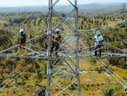 Dorong Pertumbuhan Industri, PLN Teken PJBTL 1.800 MVA di Jawa Barat dan Jawa Tengah