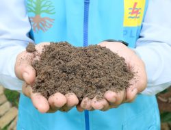 PLN Sambut Positif Langkah BSN Tetapkan SNI FABA untuk Dukung Pertanian Produktif dan Berkelanjutan