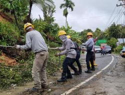 Gubernur Sumbar Apresiasi Kerja PLN Pulihkan Listrik Pascabencana