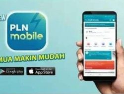 Lebih Nyaman! Bayar Listrik di Awal Bulan Lewat Aplikasi PLN Mobile