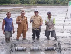 Bupati Sirajudin Lasena Dorong Pertanian Modern Lewat Sistem Tabela di Boltara